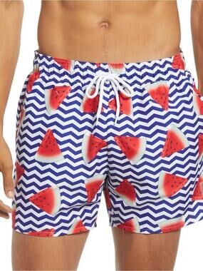 Trunks Surf & Swim Co. Men's M Blue White Chevron Watermelon Print Swim Trunks